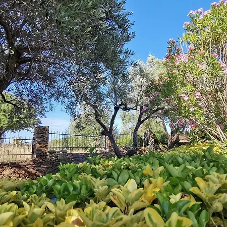 Apartament La Casa Di Rita Budoni
